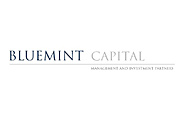 Bluemint Capital Advisors TTR Data M A PE VC Capital